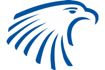 Embry Riddle Eagles