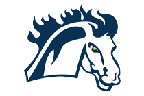 Mount Mercy Mustangs